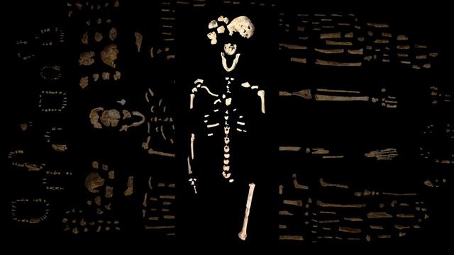 A Era Dos Primatas: Quem Foi O Homo Naledi? #7