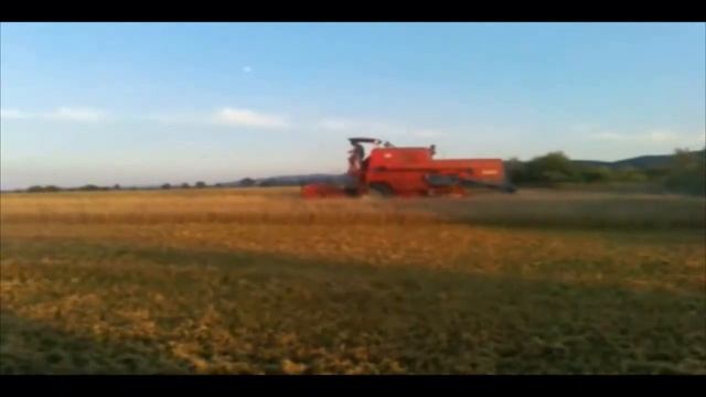 Żniwa 2013 Pszenica |Bizon| |Ursus| смотреть онлайн