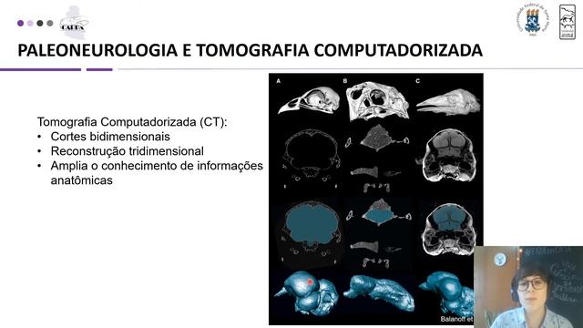 Paleoneurologia de Antifer (Mammalia: Cervidae), um grande cervídeoextinto da América do Sul смотреть онлайн