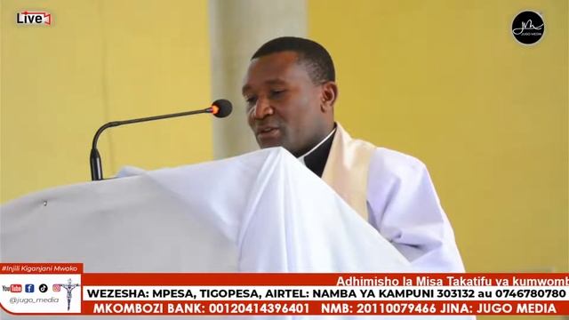 #LIVE: Misa Takatifu ya Daraja ya Ushemasi kwa Mafrateli 8 wa Jimbo Katoliki Tanga смотреть онлайн