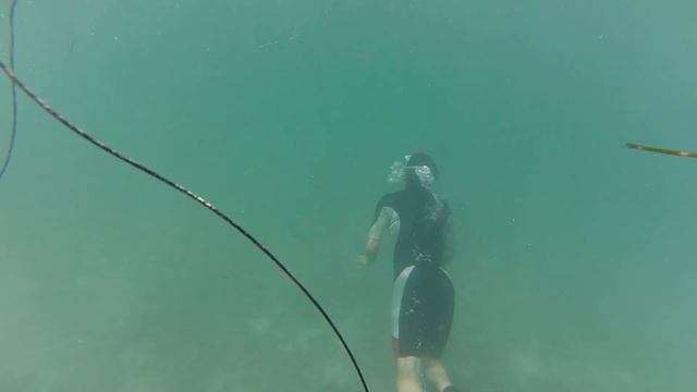 Swimming with Sharks смотреть онлайн