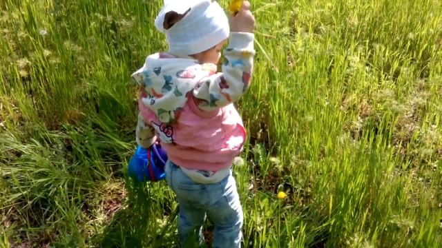 Желтые одуванчики смотреть онлайн