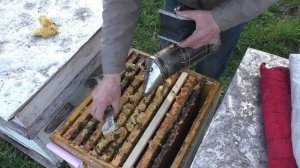 ВОЩИНА или СУШЬ чем расширять ПЧЁЛИНЫЕ СЕМЬИ в апреле