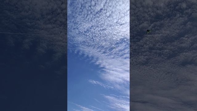 Воздушный змей на удочку под Хатико смотреть онлайн