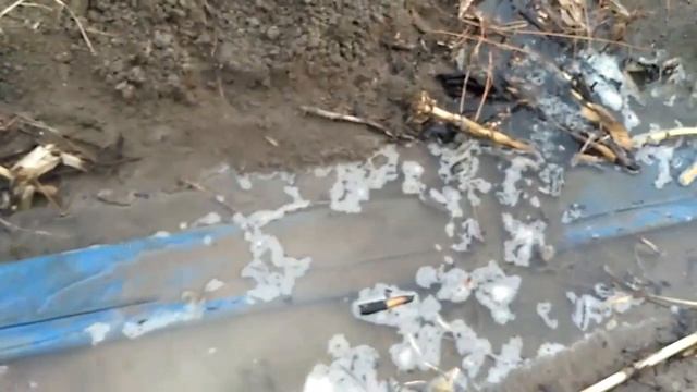 TANAM TIMUN MONROE смотреть онлайн