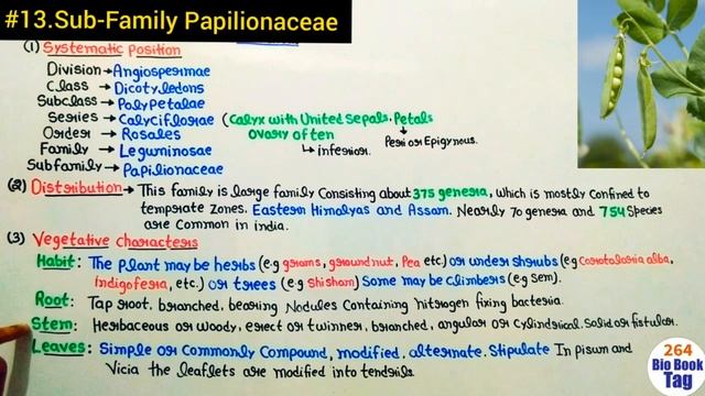 Family Fabaceae or Papilionaceae||Floral Daigram and Floral Formula||Leguminosae ||B.Sc 2 year смотреть онлайн
