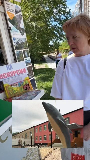 Экскурсия Сочи. Чёрный дельфин. Соль-Илецк смотреть онлайн