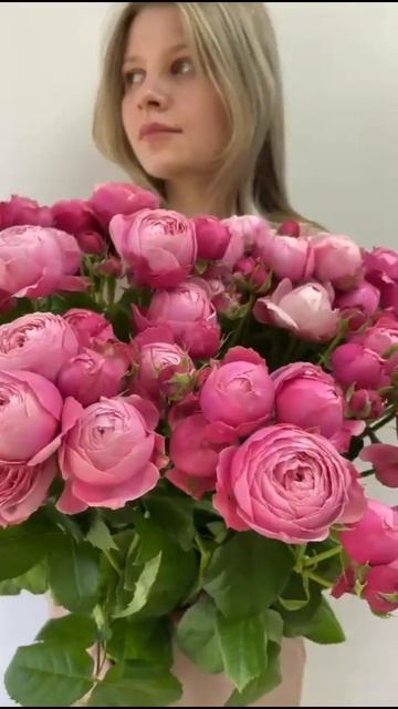 Роза кустовая пионовидная Silva Pink смотреть онлайн