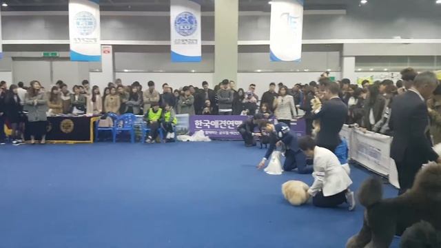 20160327 FCI 9 GROUP смотреть онлайн