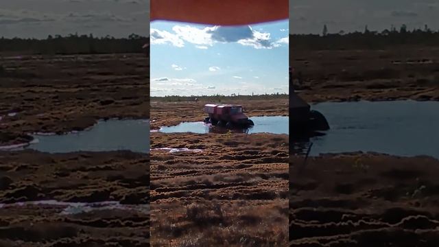 заплыв в еще один ручей смотреть онлайн
