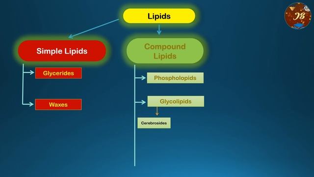 #Lipid #Classification #Biochemistry смотреть онлайн