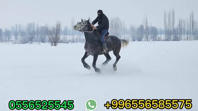 дубал бузаар ат САМАТТА