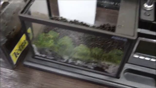 aqua me W 15 MIN смотреть онлайн