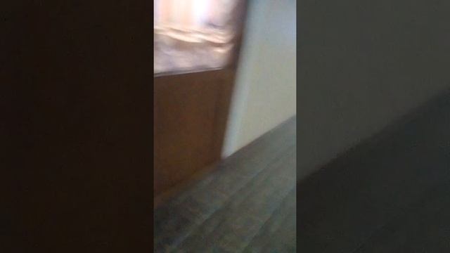 Сберегает ли наша школа электричество!? смотреть онлайн