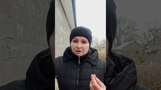 Православные защищает Апостольские правила смотреть онлайн