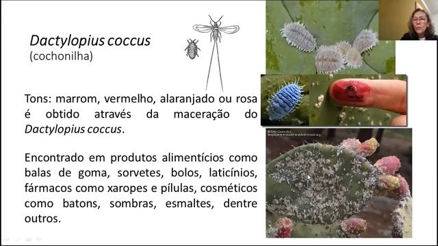 AULA 1b - Noções gerais da entomologia; Importância dos Insetos смотреть онлайн