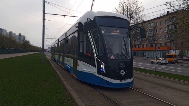 Витязь м №31377 следует по маршруту 37 смотреть онлайн