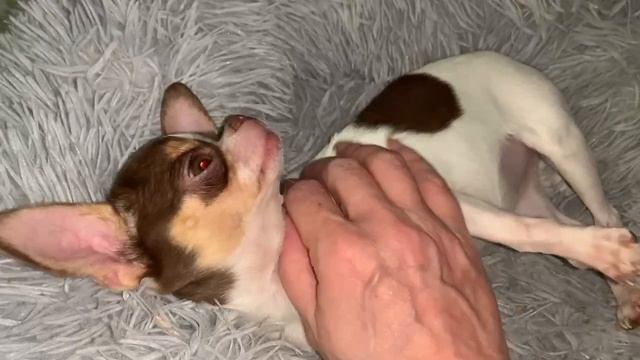 Всем наидобрейшего утречка и замечательного дня.