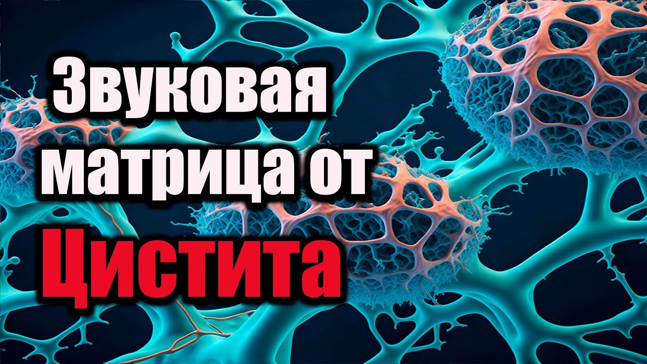 МАТРИЦА ГАРЯЕВА ОТ ЦИСТИТА | ВОССТАНОВЛЕНИЕ МОЧЕВОГО ПУЗЫРЯ