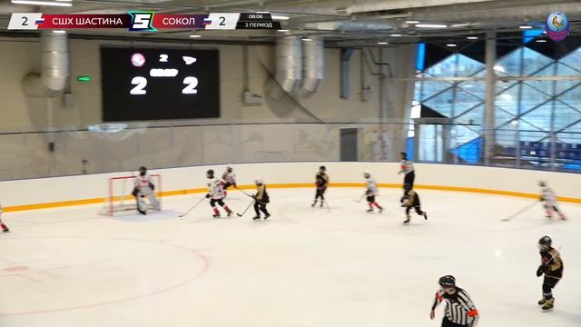 Матч №7 • СШХ Шастина — Сокол • Сибириус 2012-U13 • Сибирь-Арена • 6 мая 2024 в 14:15 смотреть онлайн
