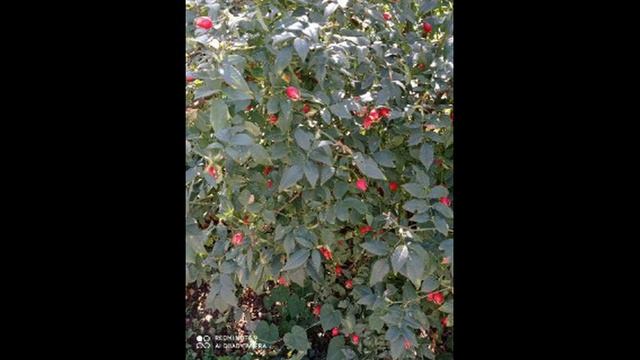 Жить как чувствовать. Сезоны души. Осень смотреть онлайн