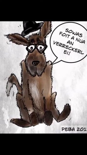 Mentor4Dogs- Herr Strottl und Gift für die Kötter смотреть онлайн