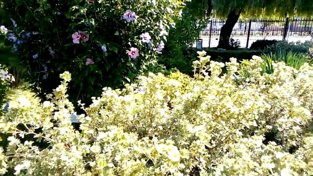 Брест. Летний Сад в Августе./1/