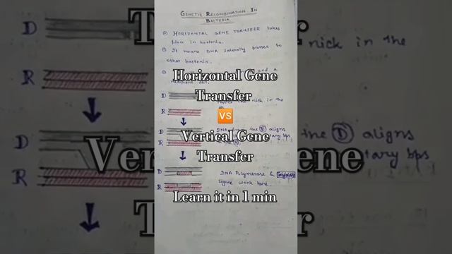 Horizontal Gene Transfer vs Vertical Gene Transfer in just 1 min #recombination#biology #lifesciene смотреть онлайн