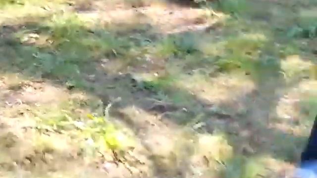 Футбол в лагере 