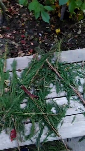 Переделал вывеску "Баня" своими руками смотреть онлайн