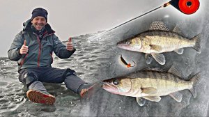 СУДАК НА МОРМЫШКУ и ОПАСНЫЙ последний лёд! Закрываем сезон.