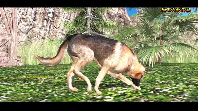 The monkey fox who turned into a gorilla dinosaur || Cartoon gorilla Coffin Dance By Mr lavangam смотреть онлайн