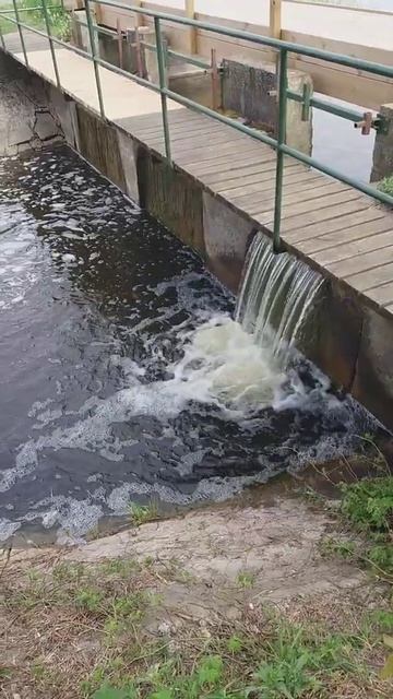 КРАСНОПЕРКА ПРЫГАЕТ. РЫБАЛКА  в Швеции