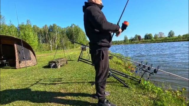 #природа #nature #ribalka #carpfishing2024 #carpfishing #newvideo #fishing2024