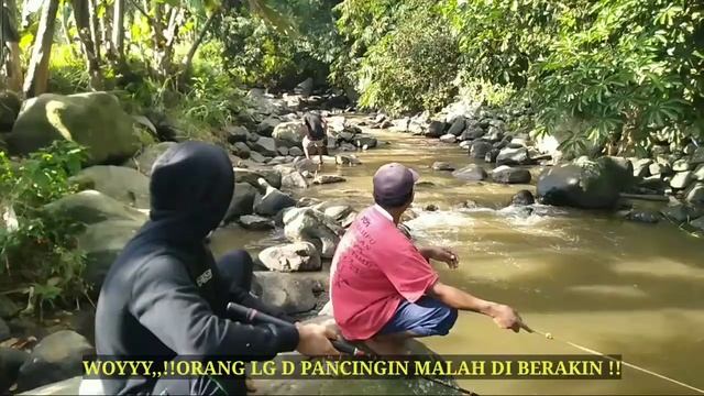 Mancing salah Dina || KOPOK dan chumplung beraksi || #viral #purwokerto смотреть онлайн