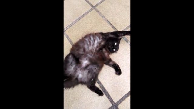 Belial, Behemoth, Beelzebub, Asmodeus, Satanas, Lucifer