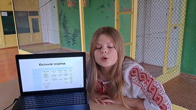 Дослідження раціону годівлі Співочого папуги PSEPHOTUS HAEMATONOTUS в умовах куточка живої природи смотреть онлайн