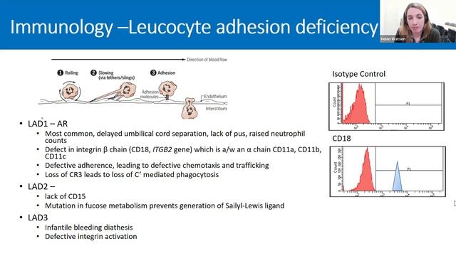 Primary Immunodeficiency Testing by Flow Cytometry (Flow Cytometry Hot Topics Webinar Series) смотреть онлайн