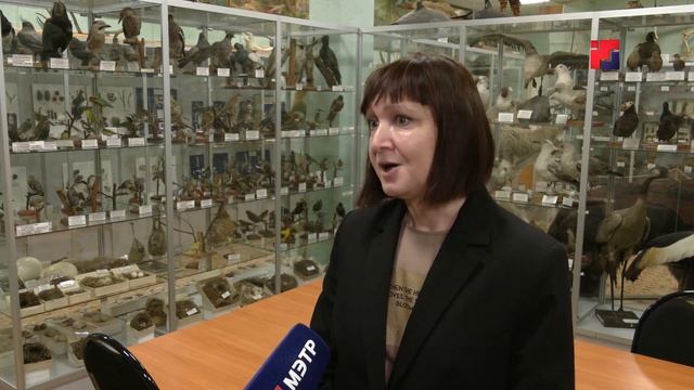 Уже полтора месяца в Марий Эл реализуется проект «Осторожно, орнитоз!» смотреть онлайн