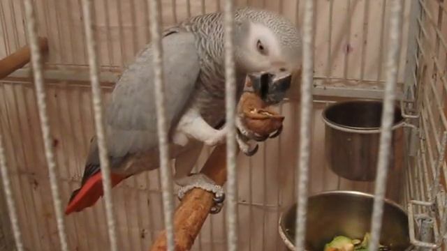 орех2 смотреть онлайн