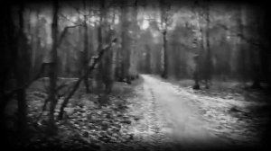 СТРАШНЫЕ ИСТОРИИ - ЭТО НЕ УЧЕНИЯ - Страшилки на ночь, мистика