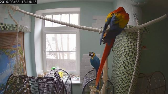 VID 20190323 131840 смотреть онлайн