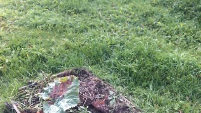СКУЧНОЕ ВИДЕО. НЕ СМОТРЕТЬ! смотреть онлайн