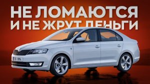 Это неубиваемые и недорогие в уходе автомобили! Выбираем лучший.