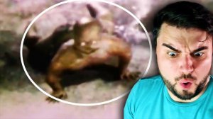 Монстр в Отличном Качестве  Паранормальные Новости  *Реакция*  Канал ЗОМБИ ЧЕЗ | Страшилки на ночь