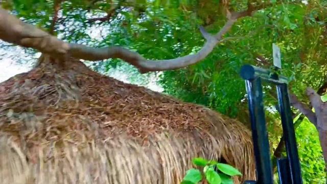 ICON The Best Beach Club In Marmaris| Marmaris | İçmeler | Orka Beach Hotel | Marmaris Vlog |