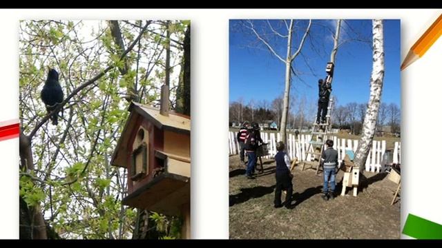 ДИКТАНТ ДРУЗІ ПТАХІВ смотреть онлайн