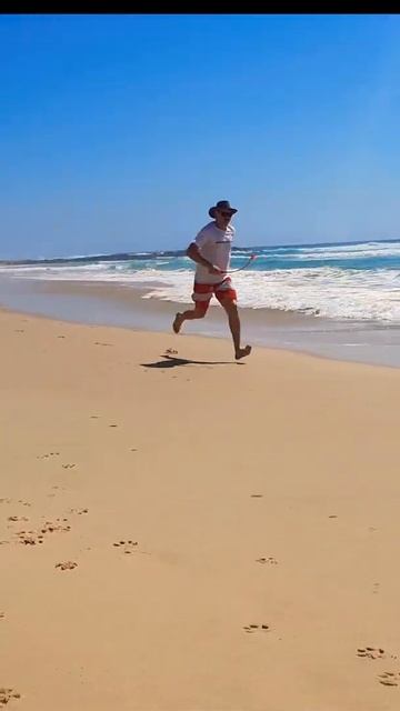 Ferias 🐕 Boiadeiro Australiano смотреть онлайн