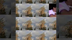 Аркадий Кобяков (Я стану ветром)