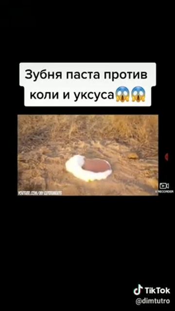 Занимательная Химия: Зубная паста, Уксус, Кола